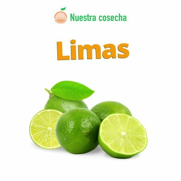 Limas online valencianas - NUESTRA COSECHA