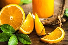 Mandarinas y naranjas - NUESTRA COSECHA