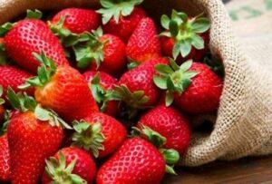 Frutas de temporada - NUESTRA COSECHA